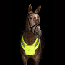 Covalliero Reflex Bring Teller 